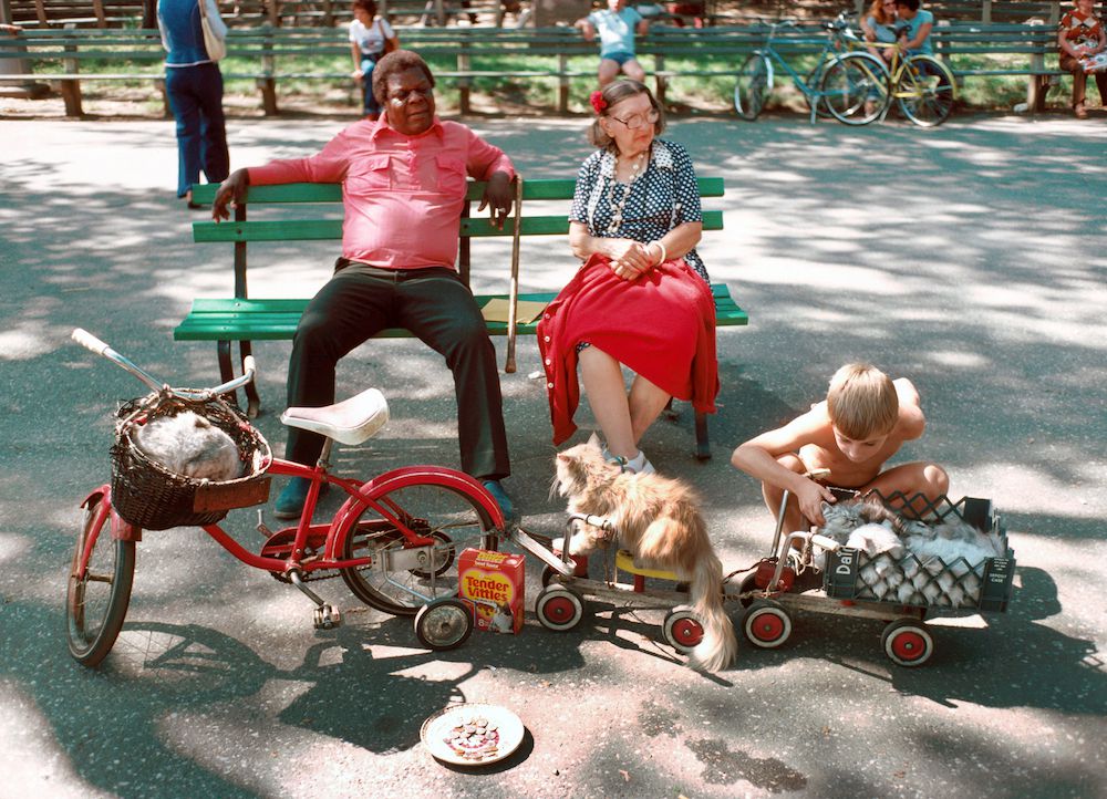 D. Gorton, Tender Vittles, Cats on Parade, Central Park Mall, Manhattan, 1978, NYC Parks Photo Archive
